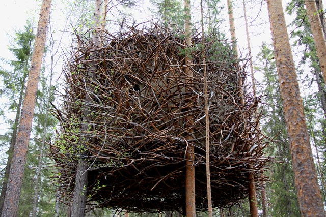 treehotel-the-birds-nest 鳥の巣のようなツリーホテル10