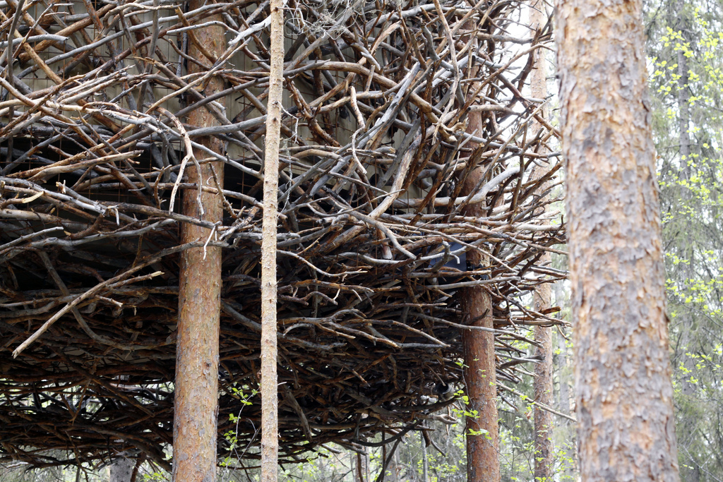 treehotel-the-birds-nest 鳥の巣のようなツリーホテル7