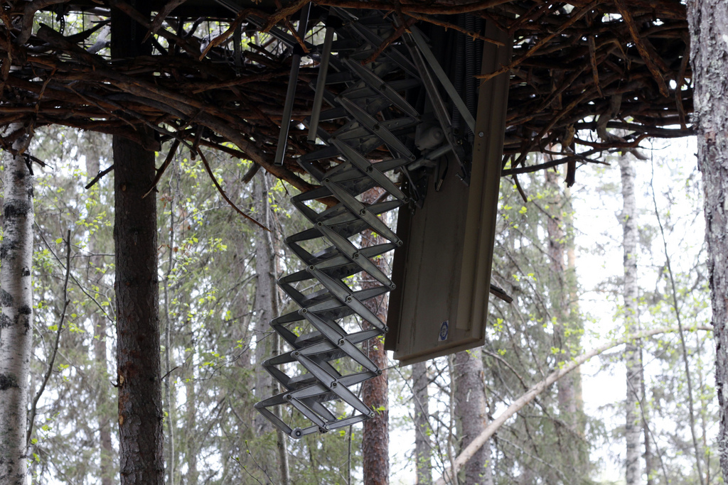 treehotel-the-birds-nest 鳥の巣のようなツリーホテル13