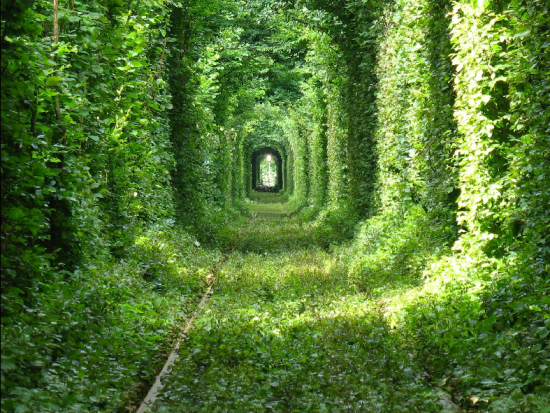 Tunnel of Love in Kleven, Ukraine13