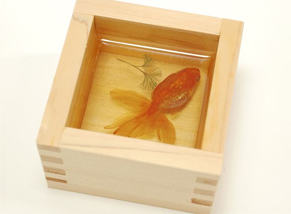 値下げ交渉あり。超美品！金魚 金魚 アクリル画 - hapvidapb.com