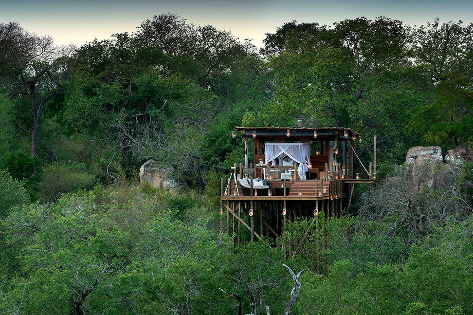 大自然に囲まれた野外で宿泊できるツリーハウス「LION SANDS TREE HOUSE」