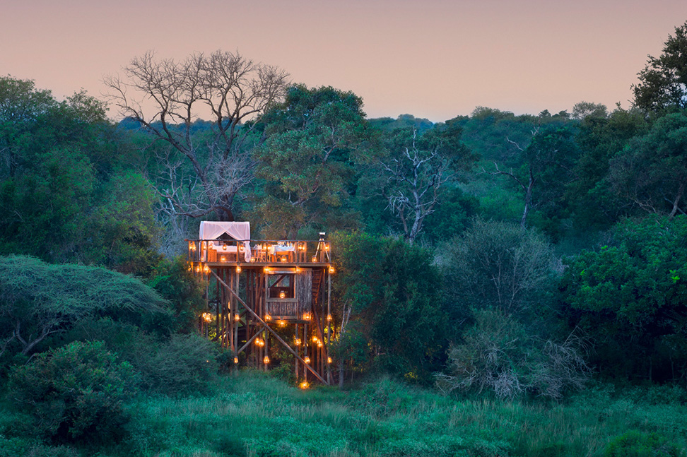 大自然に囲まれた野外で宿泊できるツリーハウス「LION SANDS TREE HOUSE」