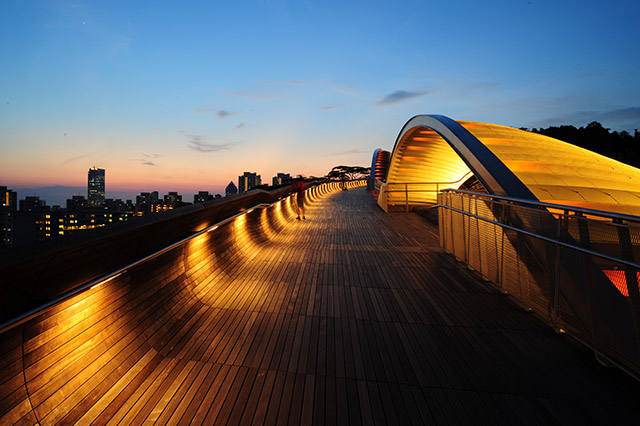 Henderson Waves Bridge Henderson Waves Bridge