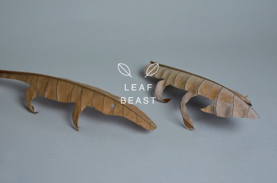 日本人アーティスト前田麦（まえだばく）氏のホオノキの葉をつかった作品「LEAF BEAST ( 葉獣 ）」