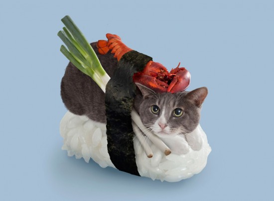 猫が寿司になったらどうなる？ねこずしニャー太
