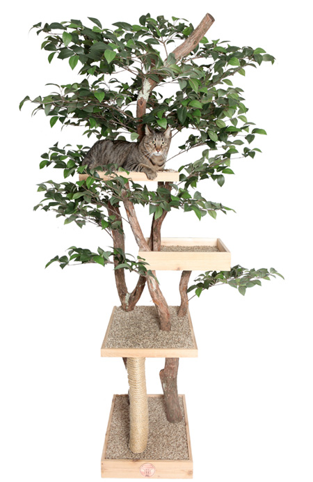 猫のためのツリーハウス